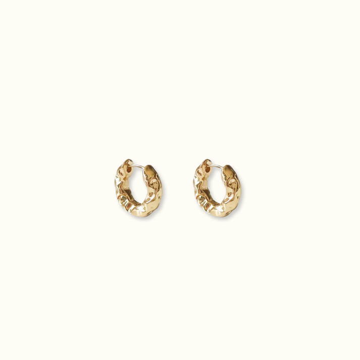 Clarice Hoops